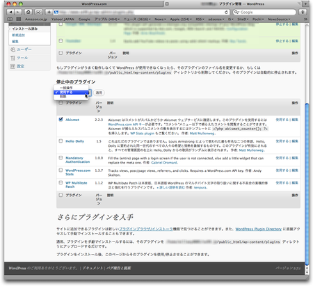 WordPress スパム対策 AKismet 10