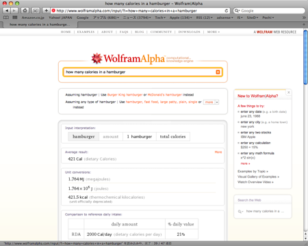 Wolfram Alpha 検索結果１