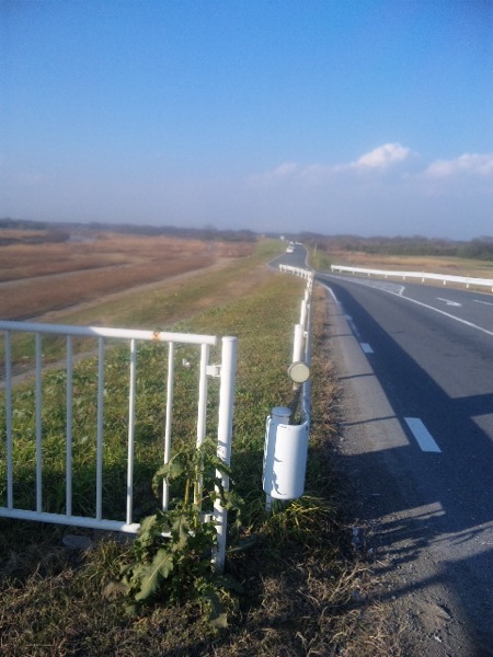 超向かい風！ 久しぶりのサイクリング 川越 入間大橋